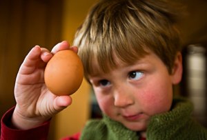 child eating eggs