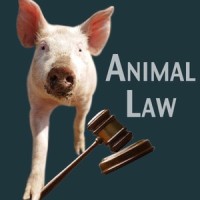 pig animal law