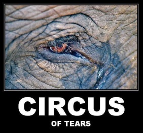 circus of tears